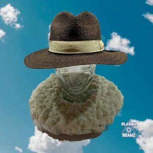 Goorin Bros. Brown & Black Raffia Panama Hat Medium